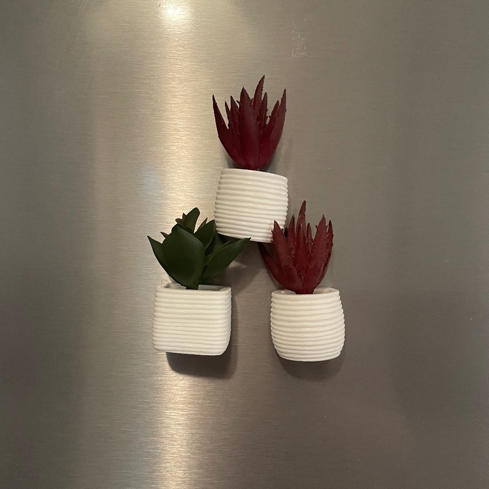 5 for $20: U Brands succulent magnets